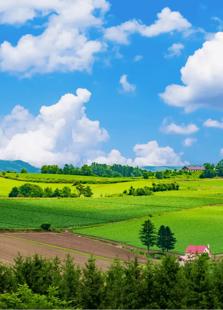 北海道の風景