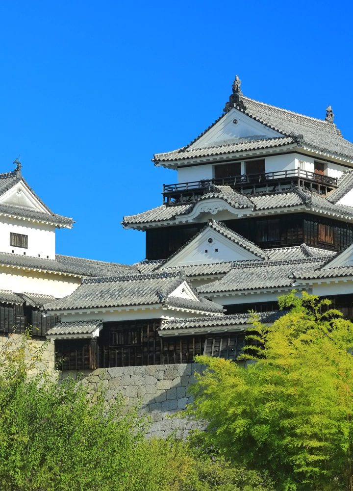 松山の風景